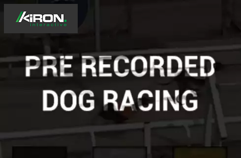Pre-recorded Dog Racing
